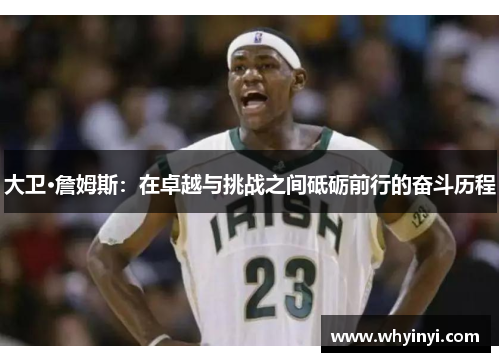 大卫·詹姆斯:在卓越与挑战之间砥砺前行的奋斗历程 大卫·詹姆斯:在卓越与挑战之间砥砺前行的奋斗历程