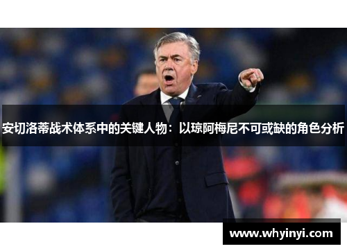 安切洛蒂战术体系中的关键人物：以琼阿梅尼不可或缺的角色分析
