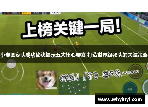 小麦国家队成功秘诀揭示五大核心要素 打造世界级强队的关键策略